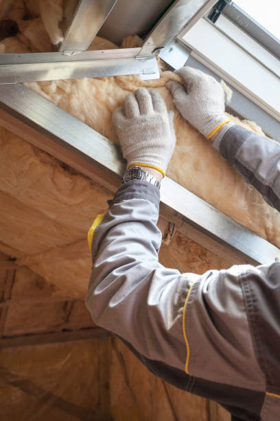 Best Blown-in Insulation  in Duenweg, MO