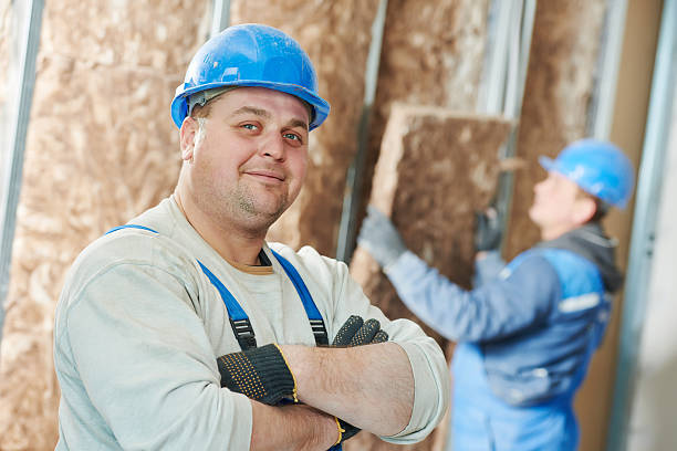 Insulation Replacement Services in Duenweg, MO