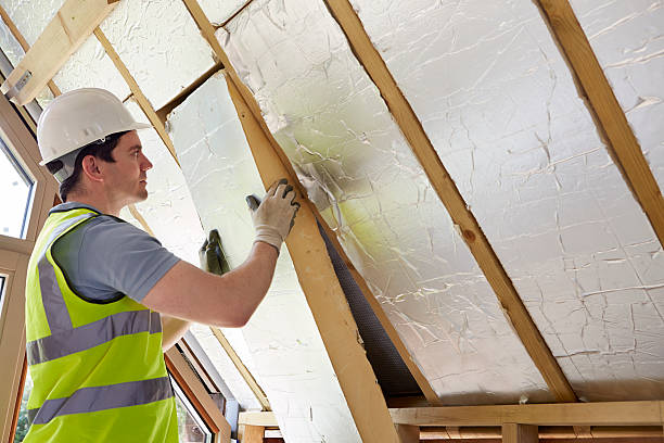 Best Energy-efficient Insulation  in Duenweg, MO